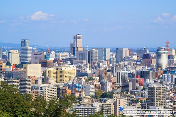 旭山記念公園から眺める札幌市中心部の風景